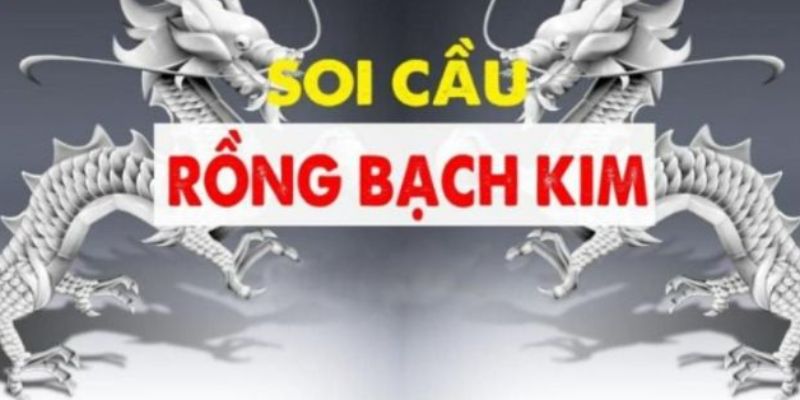 Lời khuyên soi cầu lô đề rồng bạch kim